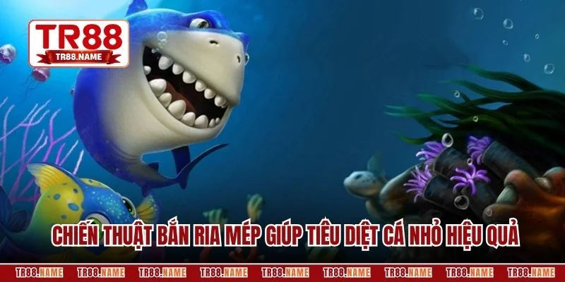 Chiến thuật bắn ria mép giúp tiêu diệt cá nhỏ hiệu quả