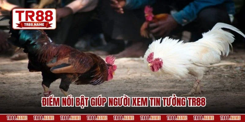 Điểm nổi bật giúp người xem tin tưởng TR88